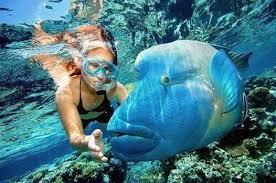 dreamy-orange-bay-tour